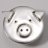 silverpig