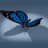 bLueButterfLy