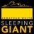sleepinggiant